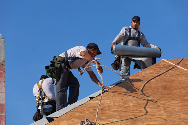 Best Roof Gutter Cleaning  in Bethlehem, NC